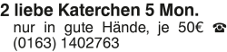 Vorschaubild der Anzeige, (Id: 2085666)